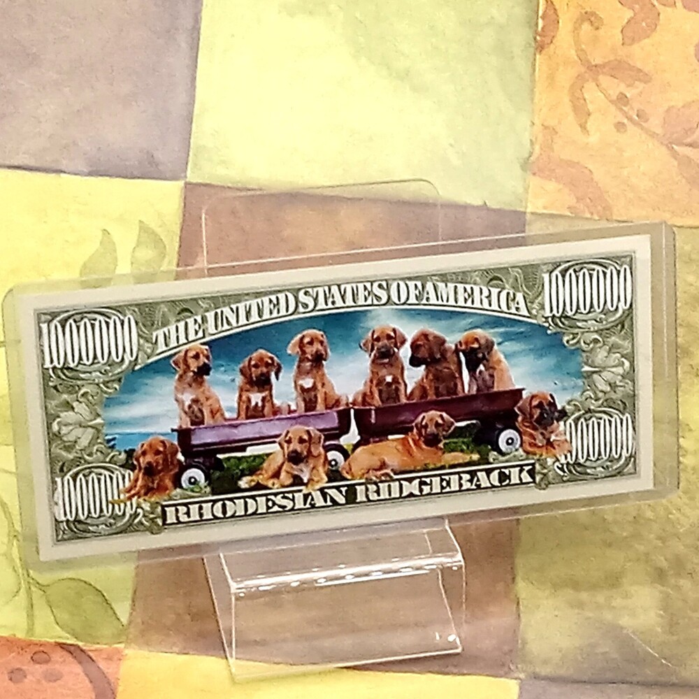 RHODESIAN RIDGEBACK Dog Funny MONEY Brown Puppies Lovers Certificate 2011 Card